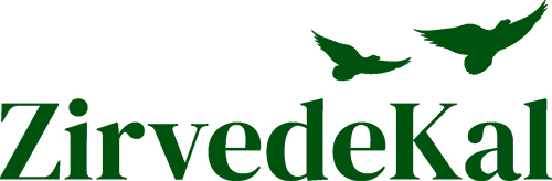 ZirvedeKal Suit Otel