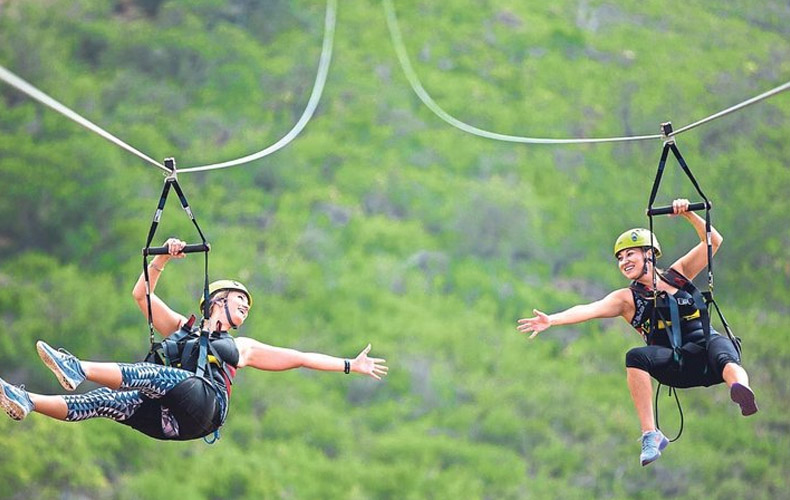 zipline-head