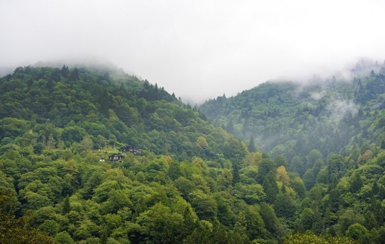 cloud stream at mountain